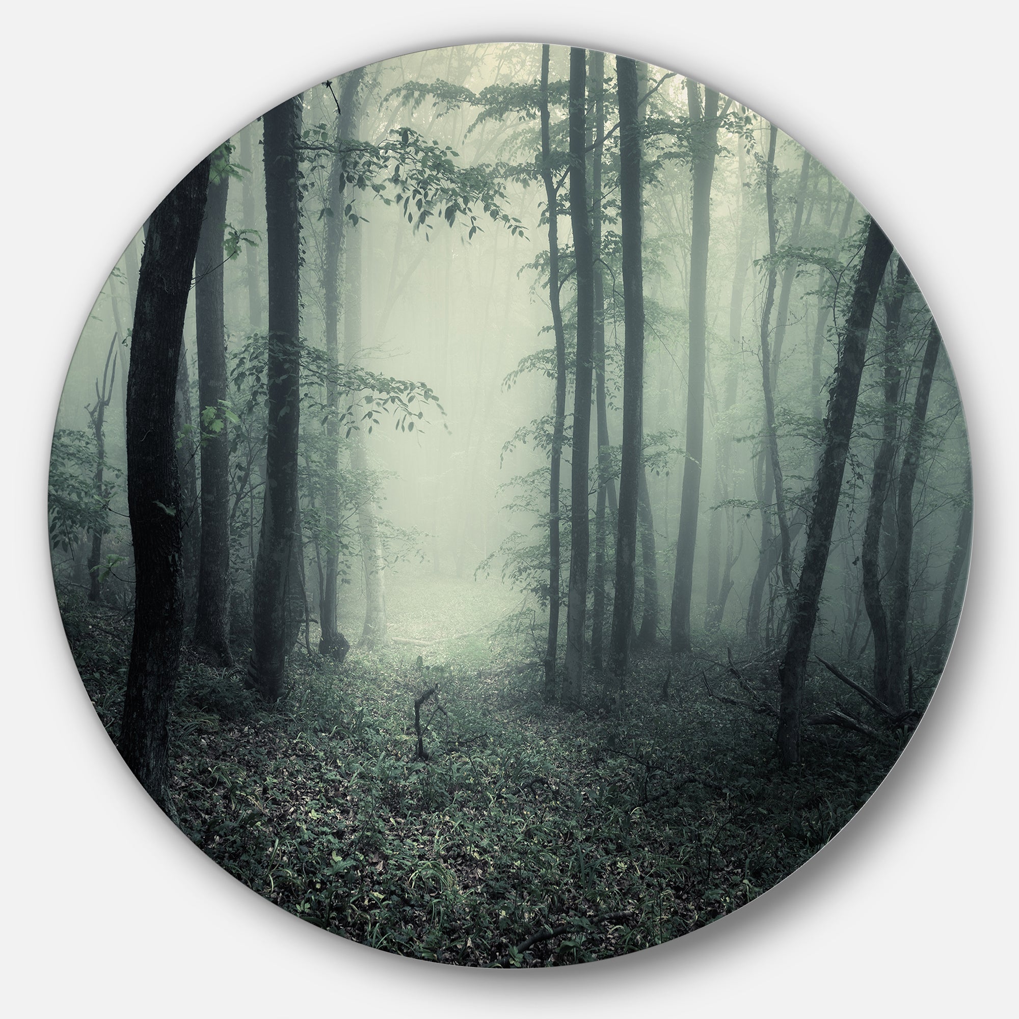 Trail Through Dark Forest' Landscape Photo Circle Metal Wall Art