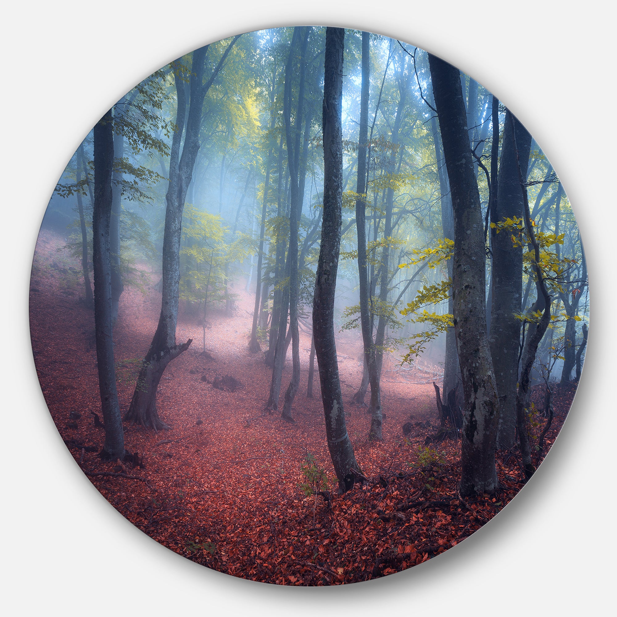 Mysterious Fairytale Green Wood' Landscape Photography Circle Metal Wall Art