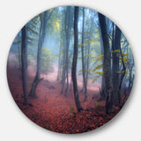 Mysterious Fairytale Green Wood' Landscape Photography Circle Metal Wall Art