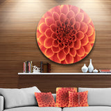 Brown Flower with Dense Petals' Floral Photo Circle Metal Wall Art
