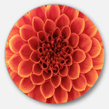 Brown Flower with Dense Petals' Floral Photo Circle Metal Wall Art