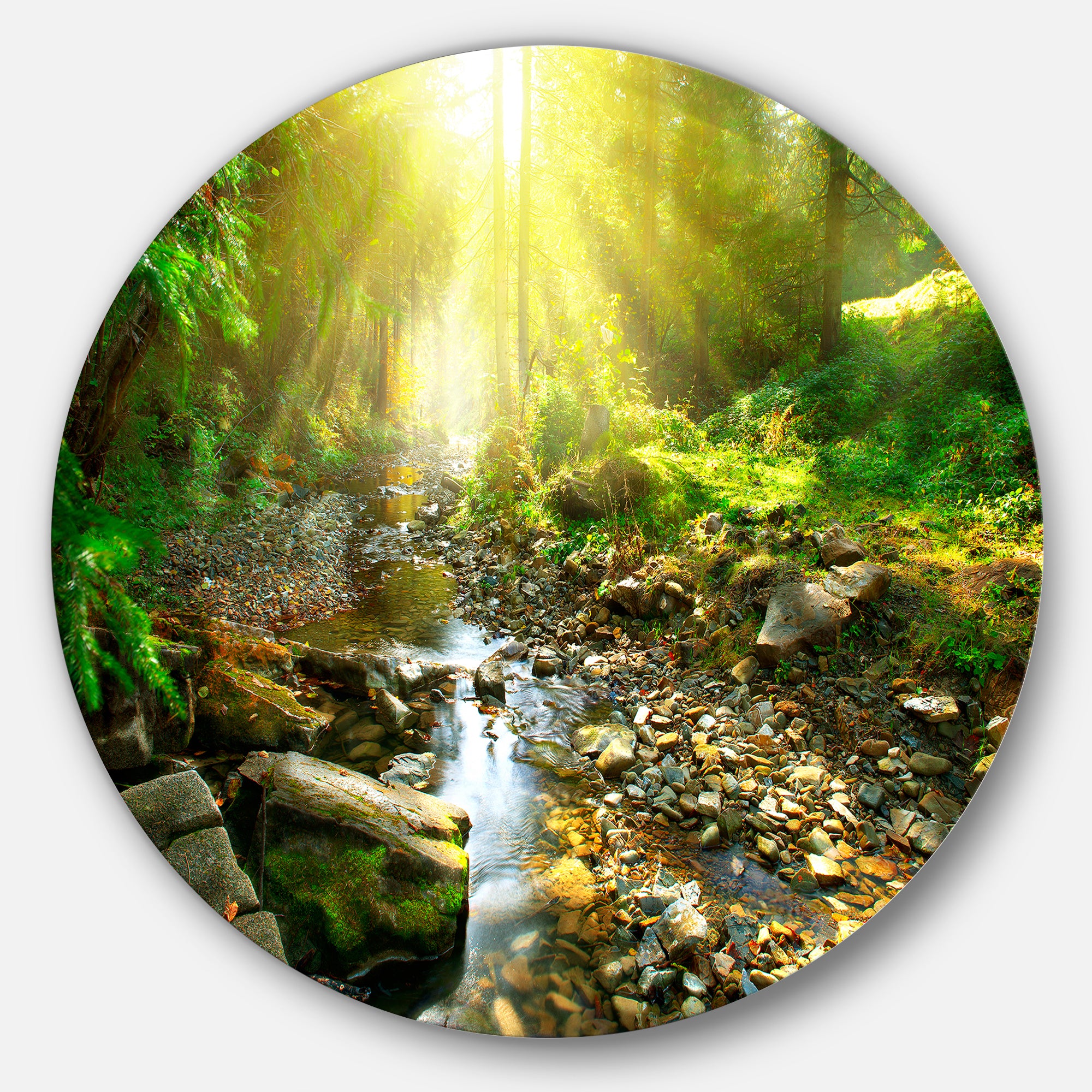 Mountain Stream in Forest' Landscape Photography Circle Metal Wall Art