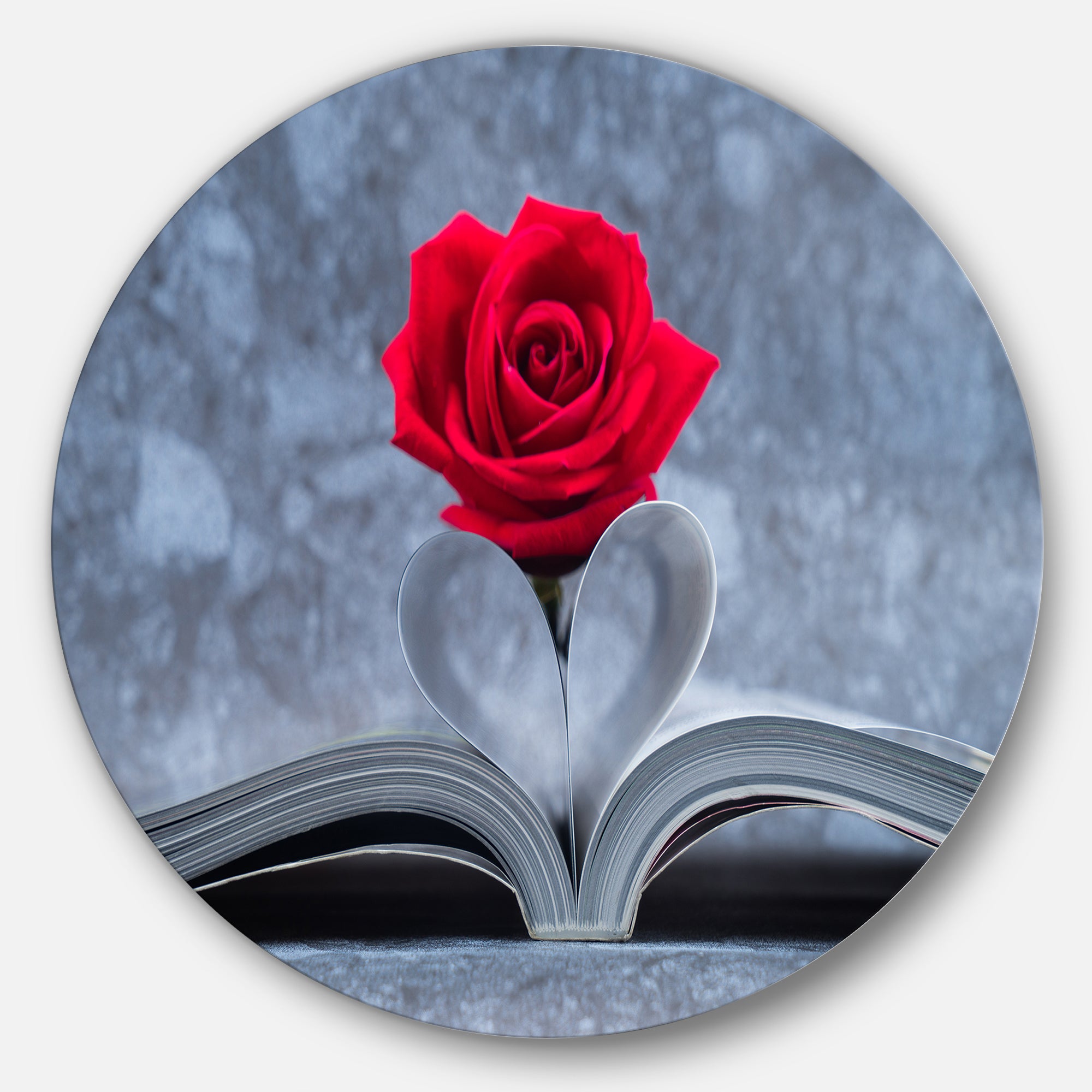 Red Rose Inside the Book' Floral Circle Metal Wall Art
