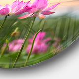 Blooming Lotus Flowers at Sunset' Floral Photo Circle Metal Wall Art