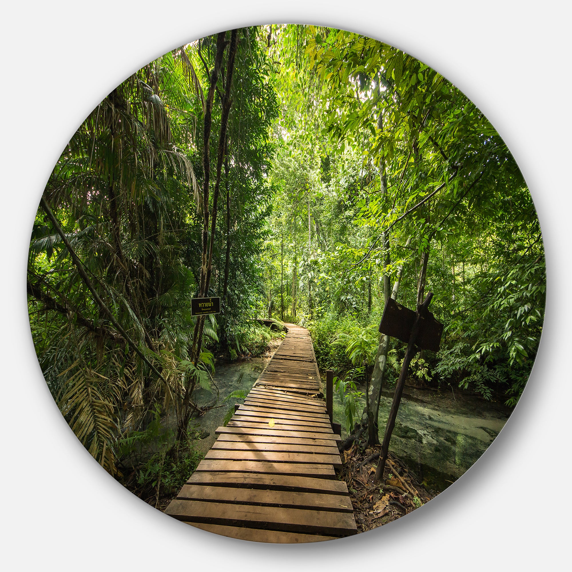Forest Way to Emerald Pool' Landscape Photo Circle Metal Wall Art