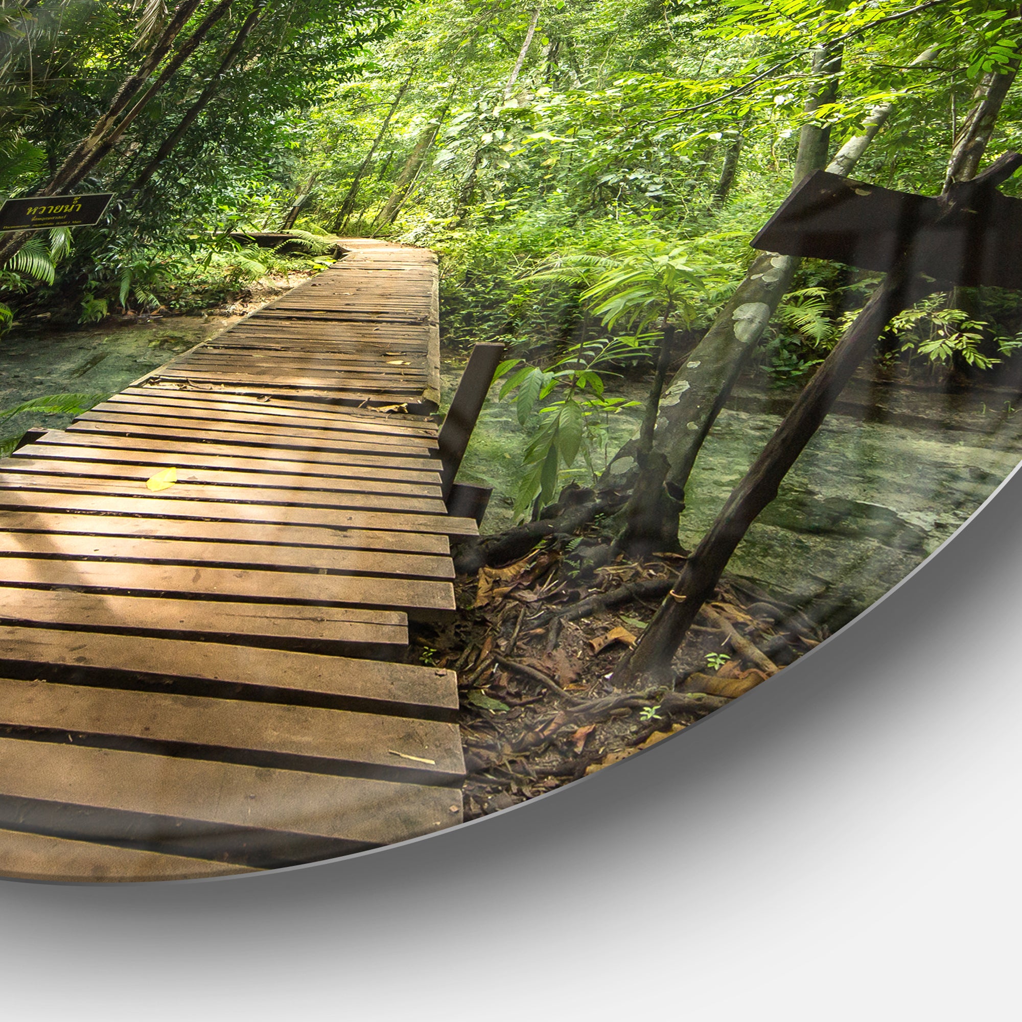 Forest Way to Emerald Pool' Landscape Photo Circle Metal Wall Art