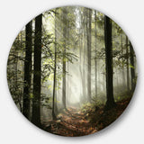 Light in Dense Fall Forest with Fog' Ultra Vibrant Landscape Oversized Circle Wall Art