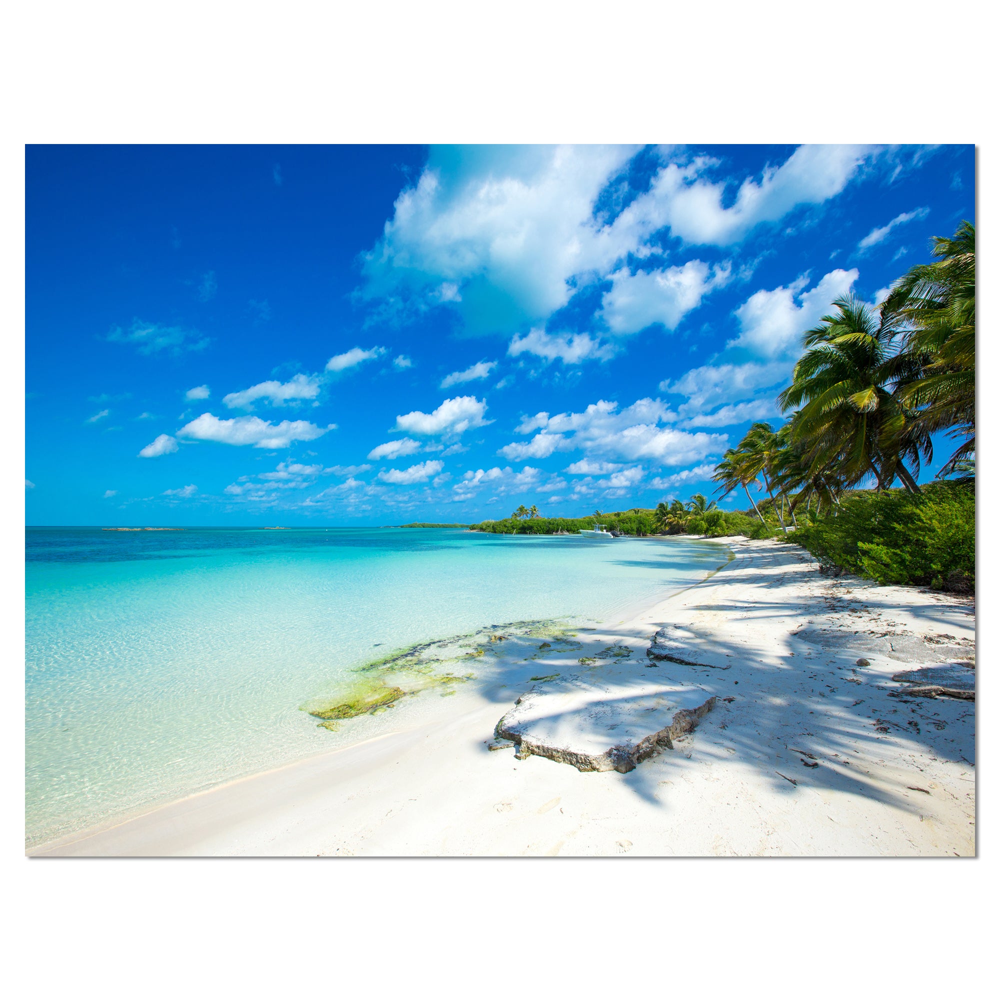 Tropical Beach with Palm Shadows Wall Art