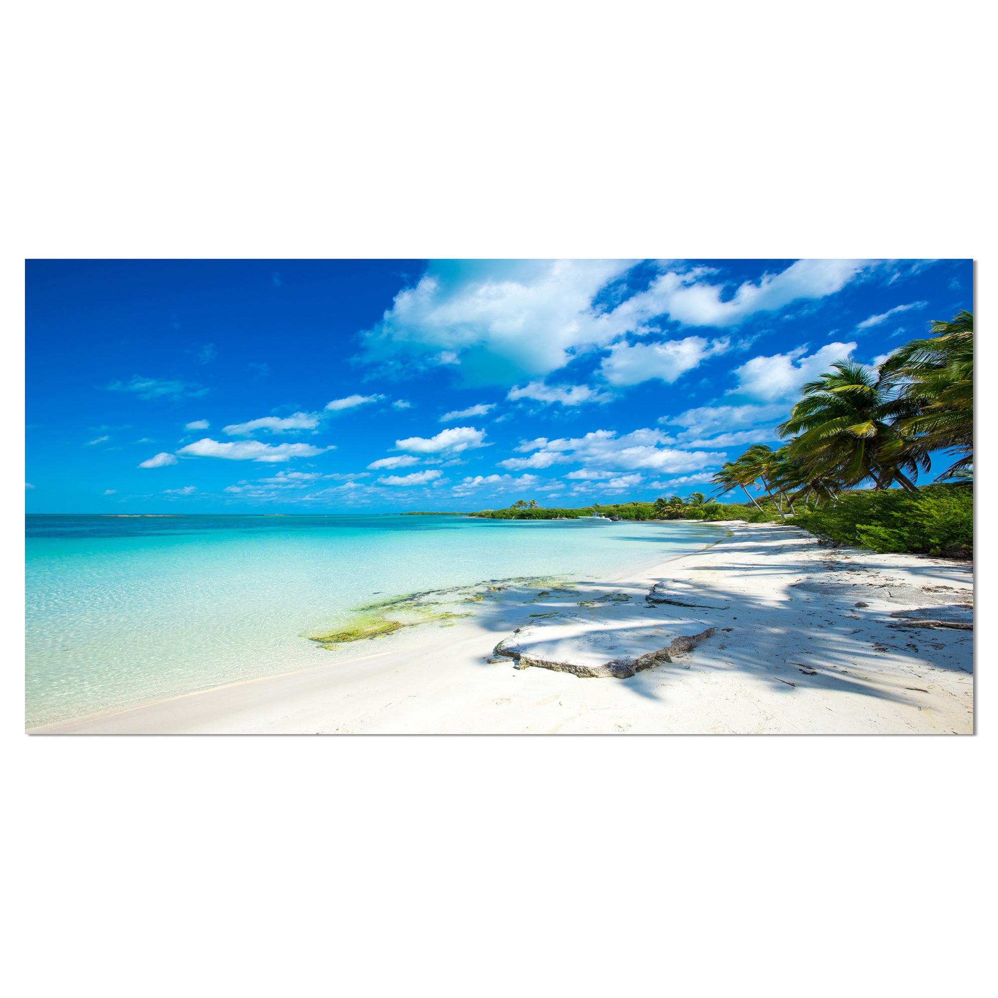 Tropical Beach with Palm Shadows Wall Art
