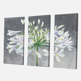 Designart 'Flower Cleome Splash I' Traditional Floral Canvas Artwork - 36x28 - 3 Panels