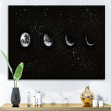Moon Phases In The Night Sky