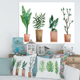 Duo of Potted Flowers House Plants