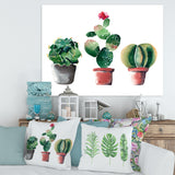 Three Cactus In Clay Pots