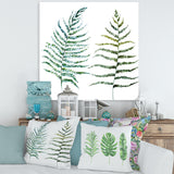 Two Fern Leaves
