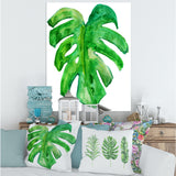 Tropical Leaf Of Monstera I
