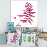 Purple Fern