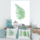 Tropical Leaf Of Monstera III