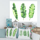 Tropical Banana Leaves Set