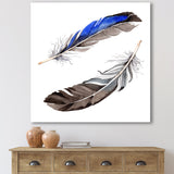 Colourful Boho Feathers III