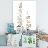 Beige Eucalyptus Branches On White
