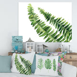 Fern Leaves Detail I