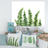 Fern Leaves Detail II