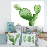 Green Southwestern Cactus