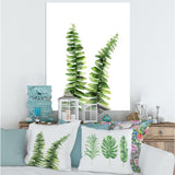Fern Plant In Greenbotanical Detail