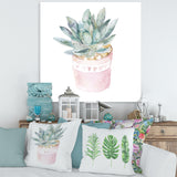 Cactus and Succulent House Plants II