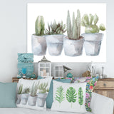 Cactus and Succulent House Plants V