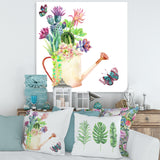 Succulents In Old Watering Can