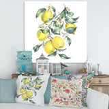 Branch of Yellow Lemons and Leaves I
