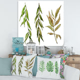 Three Willow Branches