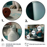 Funny Rabbit Doing Laundry II