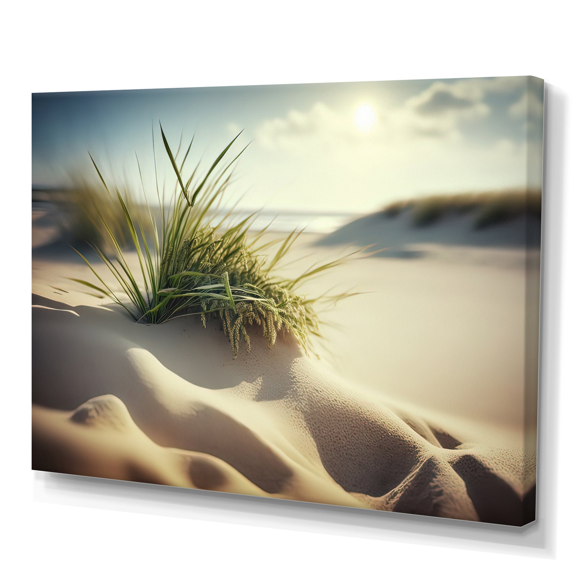 Grass On Sand Dunes I