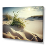 Grass On Sand Dunes I