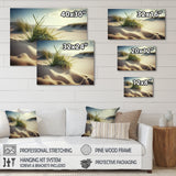 Grass On Sand Dunes I