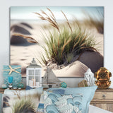 Grass On Sand Dunes II