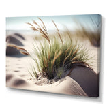 Grass On Sand Dunes II