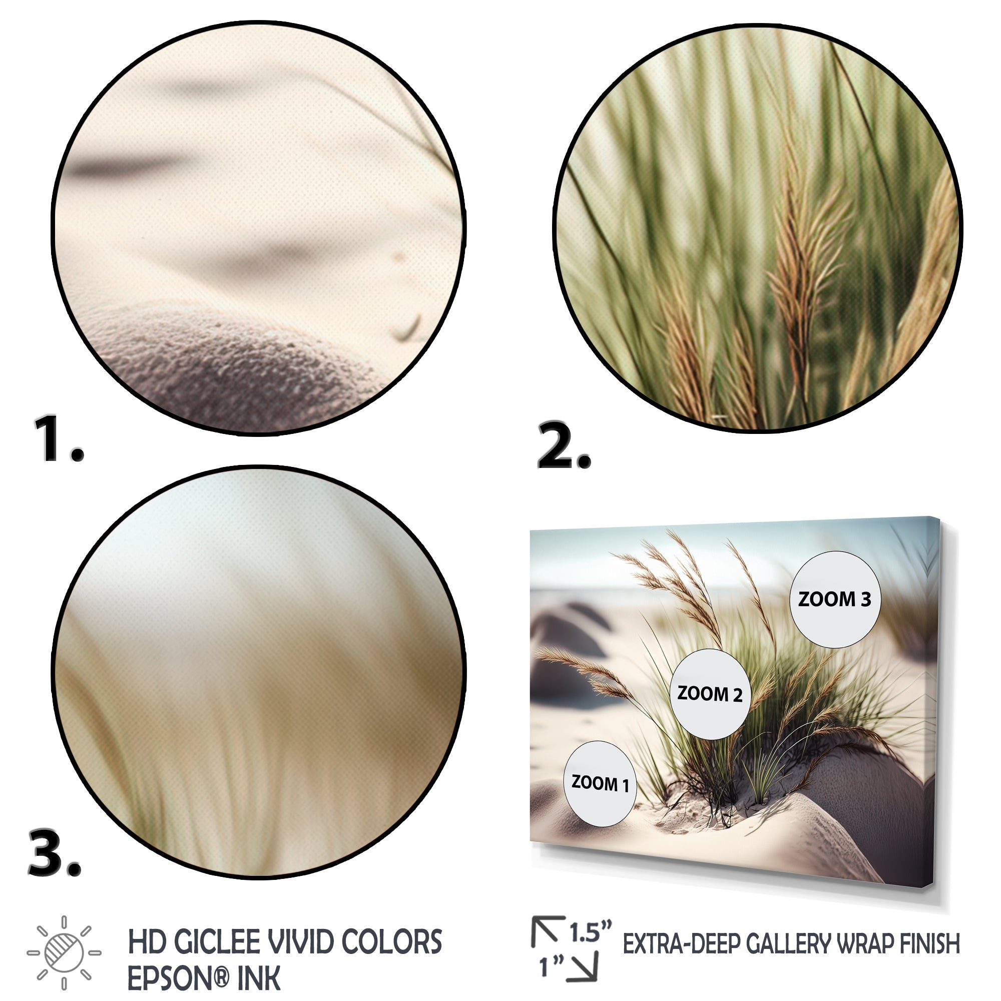 Grass On Sand Dunes II