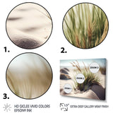 Grass On Sand Dunes II