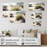 Grass On Sand Dunes II