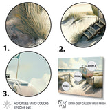 Camping On The Beach