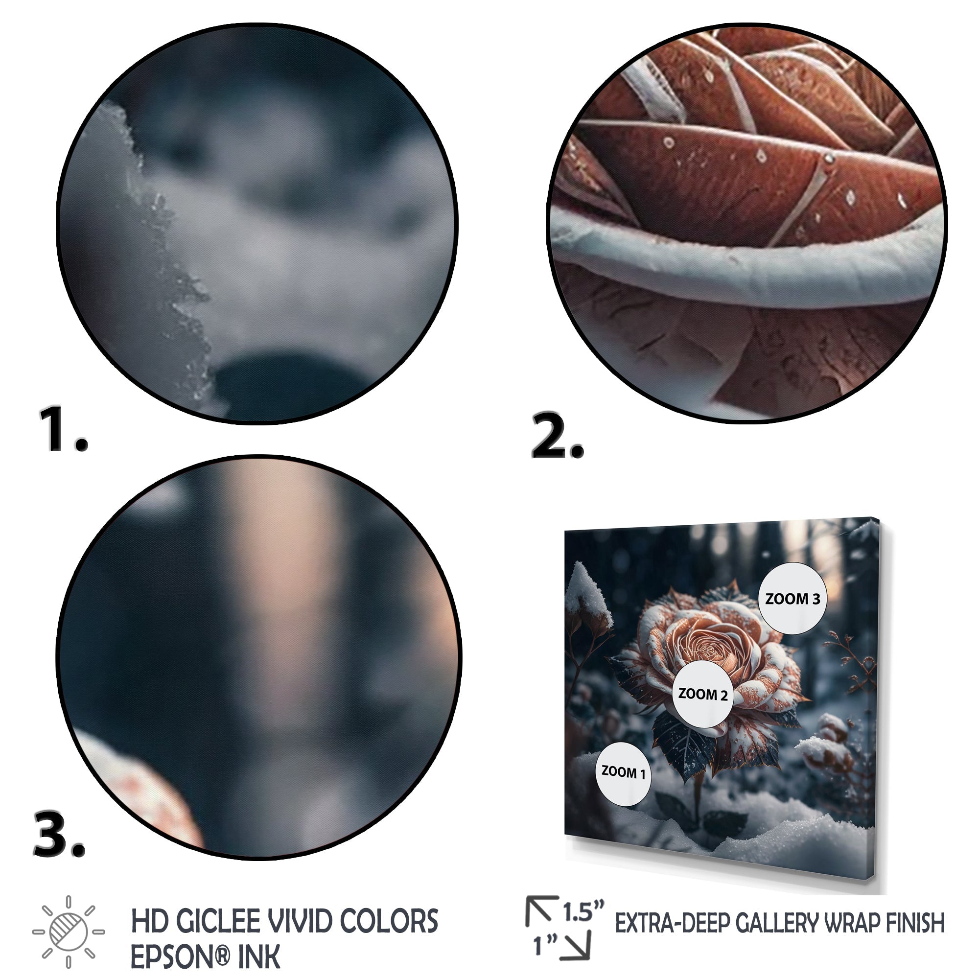 A Blooming Rose Flower In A Forest II