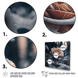 A Blooming Rose Flower In A Forest II