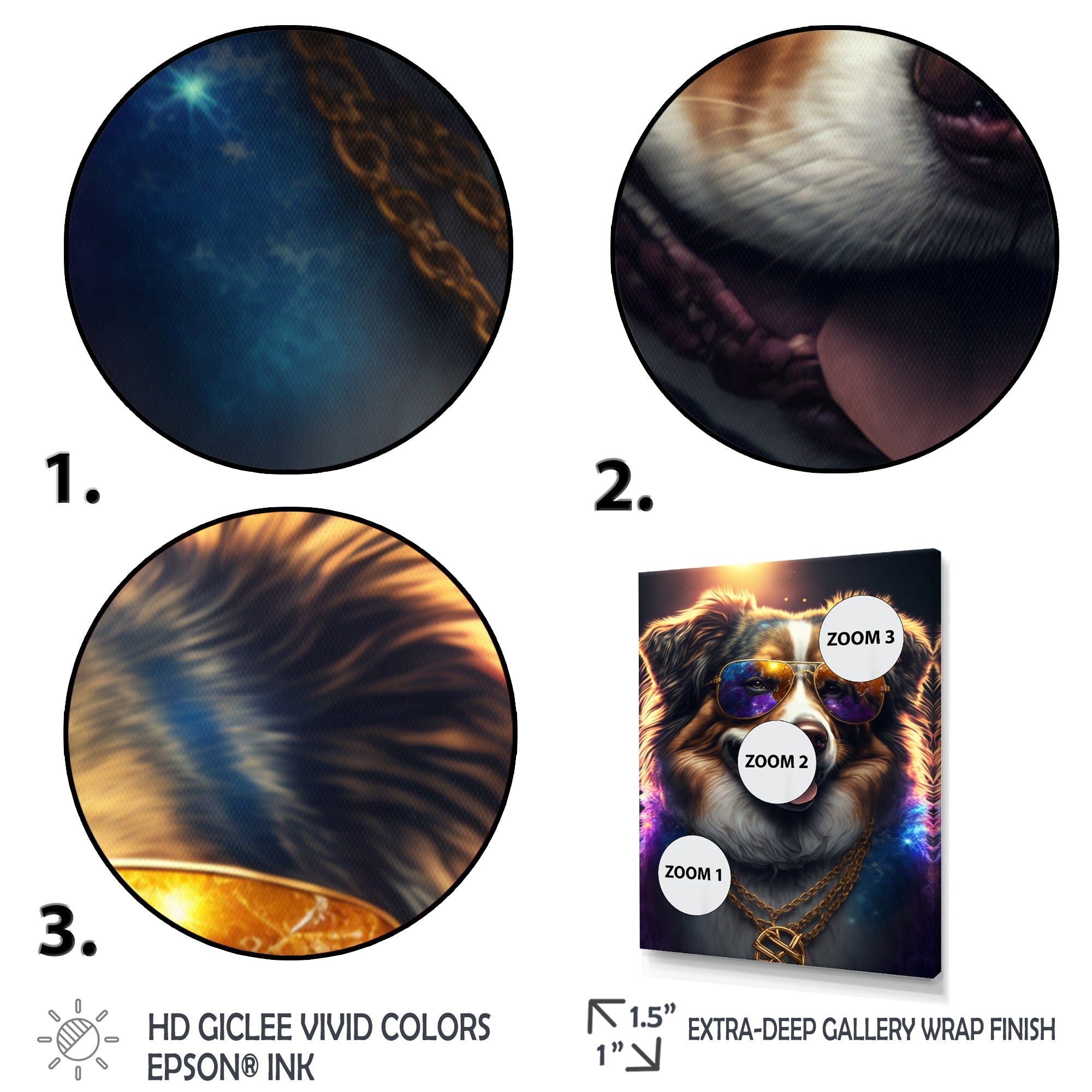 Australian Shepherd Gangster In NYC