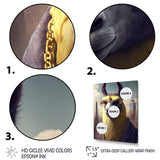 Llama Gangster In NYC