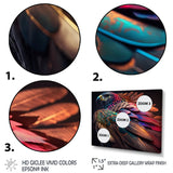 Macro Colorful Feather Eagle II