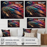 Macro Colorful Feather Eagle II