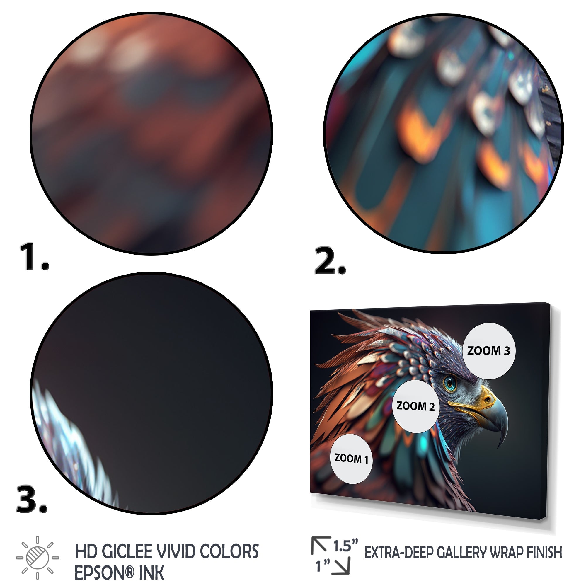 Macro Colorful Feather Eagle V